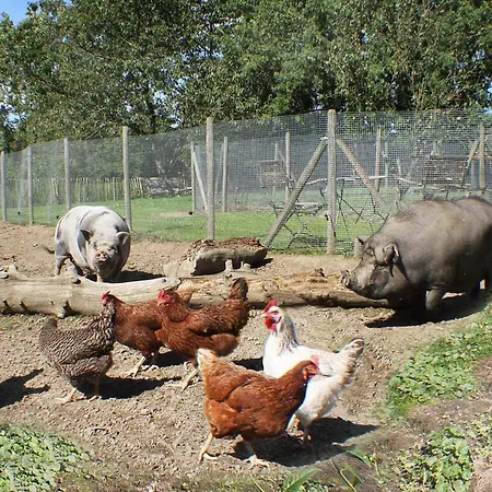Bed & Breakfast Comme A La Ferme Durbuy