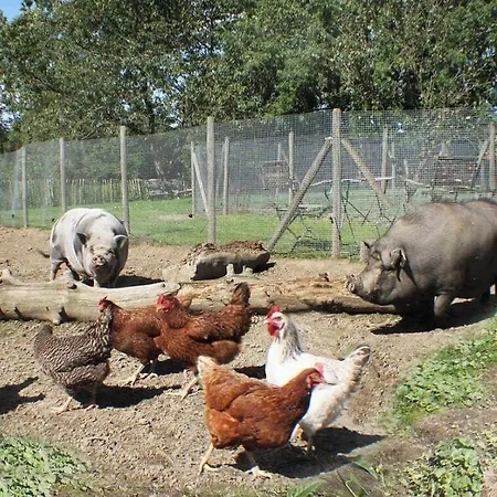 Bed & Breakfast Comme A La Ferme Durbuy