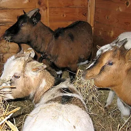 Alojamento de Acomodação e Pequeno-almoço Comme à La Ferme