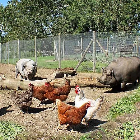 Comme à La Ferme Durbuy